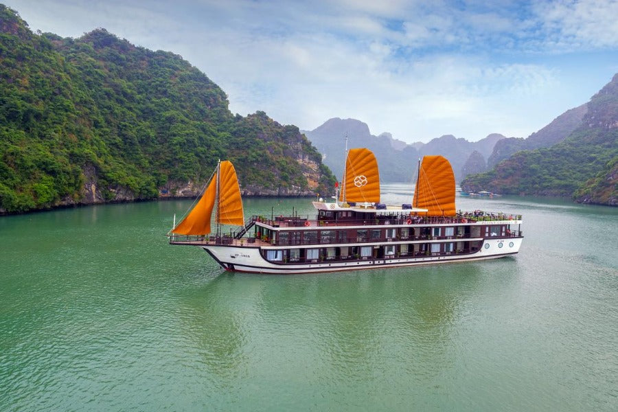 Peony Cruises
